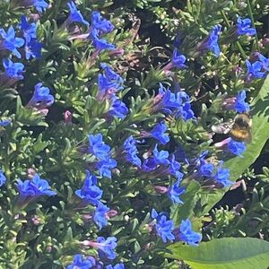 18k diamond bracelet, two 14k diamond bracelet , 14k emerald diamond ring .